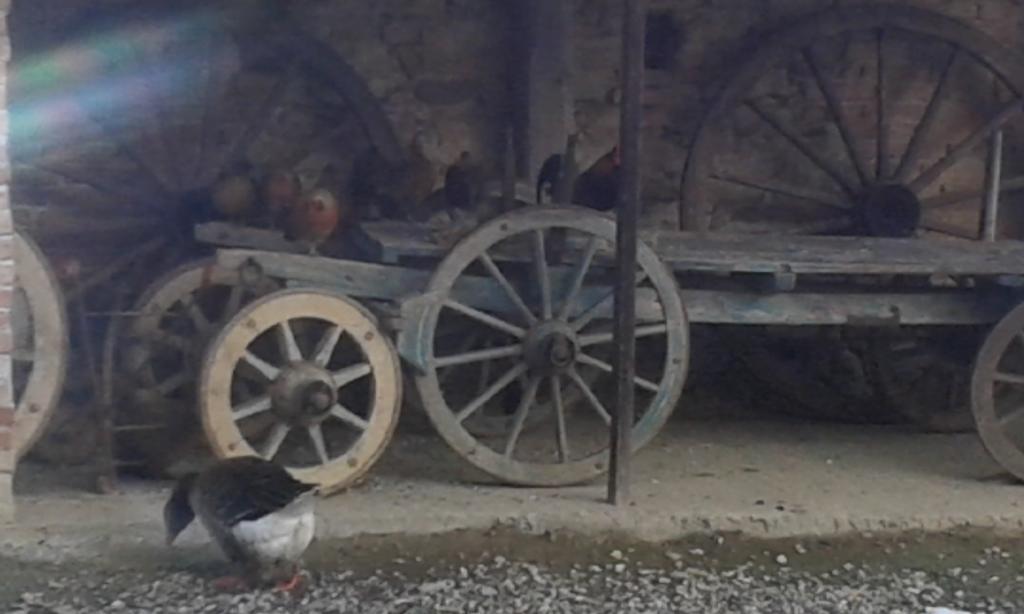 Agriturismo Il Vecchio Portico Francavilla Bisio Eksteriør billede